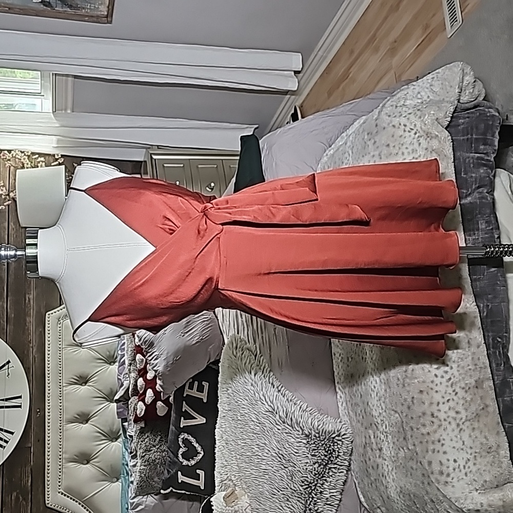 Express bronze dress